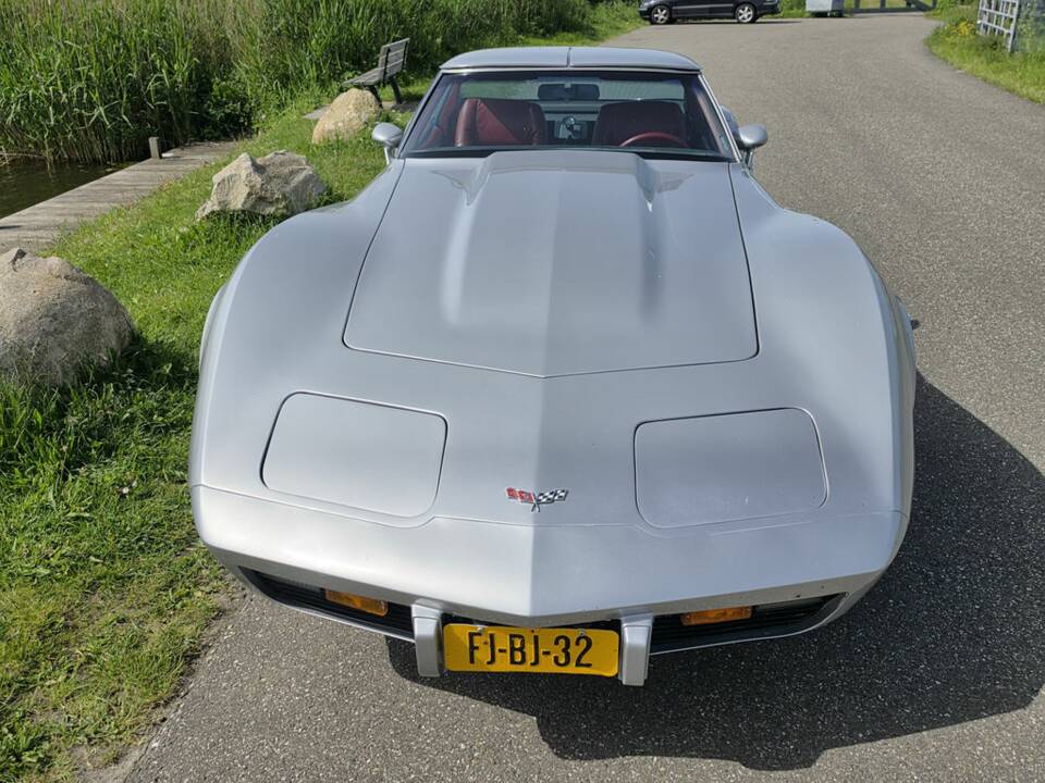 Afbeelding 3/8 van Chevrolet Corvette Sting Ray (1979)
