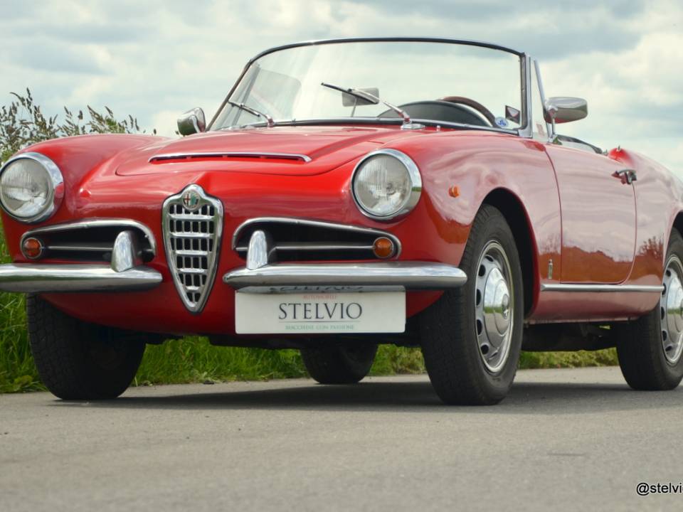 Imagen 3/21 de Alfa Romeo Giulia 1600 Spider (1964)