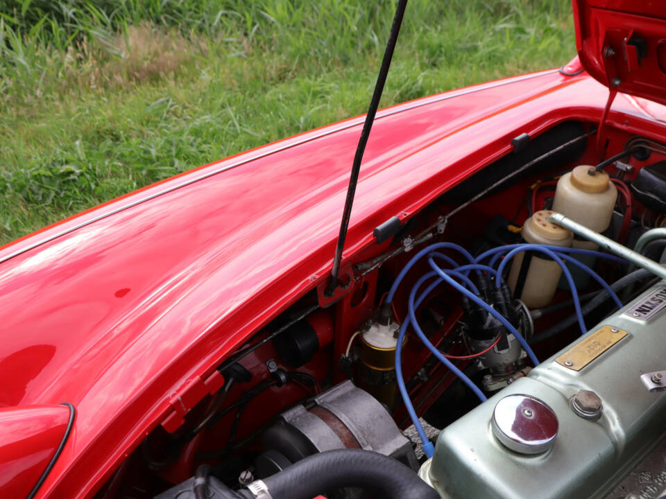 Immagine 37/50 di Austin-Healey 3000 Mk II (BN7) (1961)