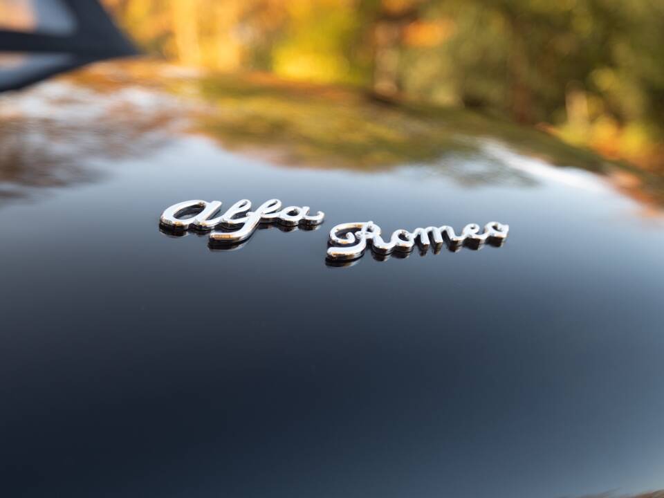 Image 12/51 of Alfa Romeo 1600 Spider Duetto (1966)