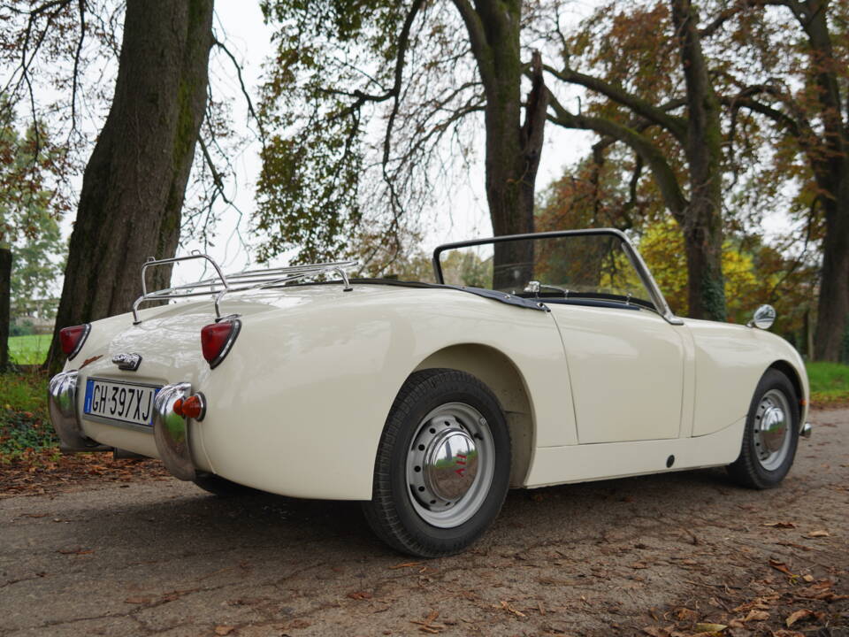 Image 16/25 of Austin-Healey Sprite Mk I (1959)