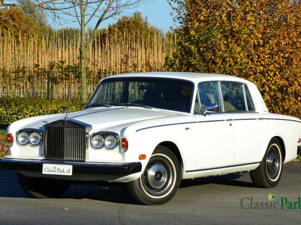 Bild 1/50 von Rolls-Royce Silver Wraith II (1979)