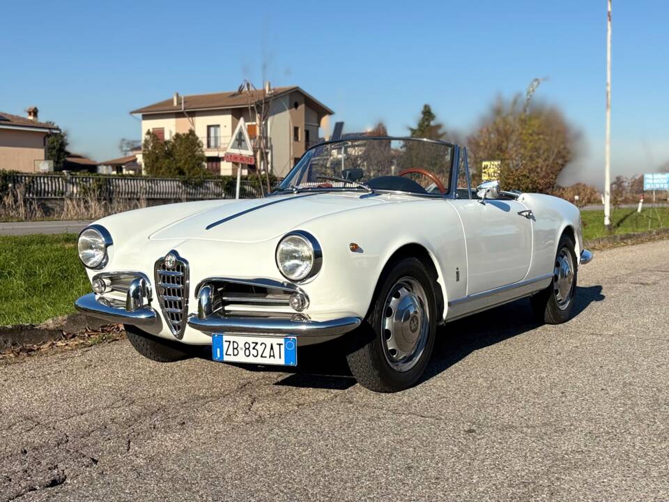 Bild 1/28 von Alfa Romeo Giulietta Spider (1961)