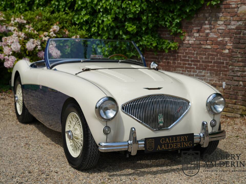 Image 46/50 of Austin-Healey 100/4 (BN1) (1954)