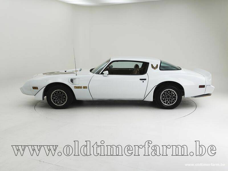 Image 8/15 of Pontiac Firebird Turbo TransAm (1981)