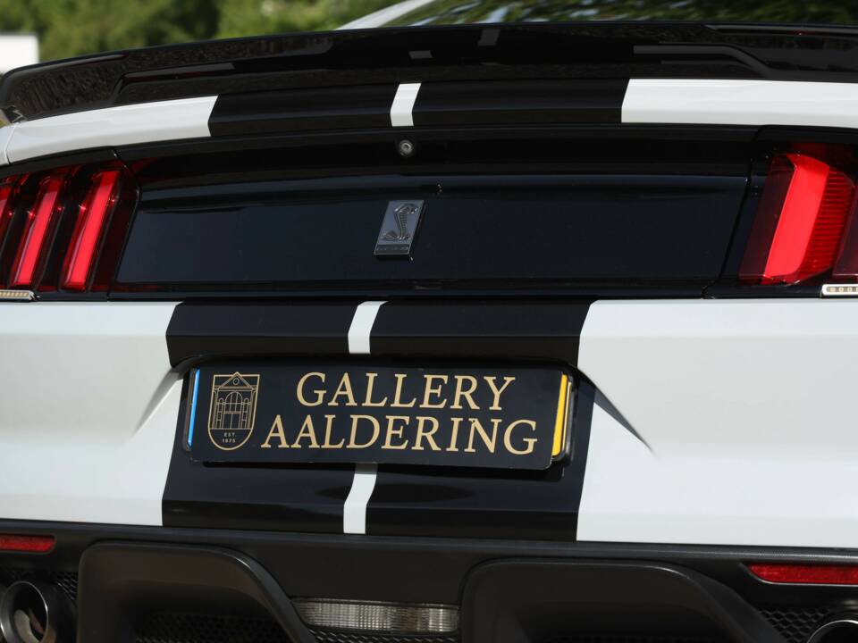 Image 48/50 of Ford Mustang Shelby GT 350 (2017)