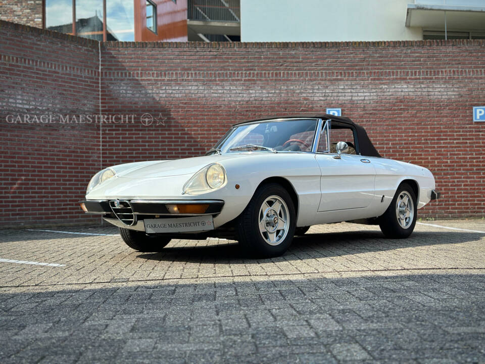 Afbeelding 2/72 van Alfa Romeo 2000 Spider Veloce (1981)
