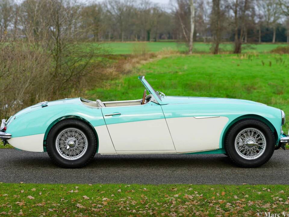 Immagine 24/48 di Austin-Healey 3000 Mk I (BN7) (1960)