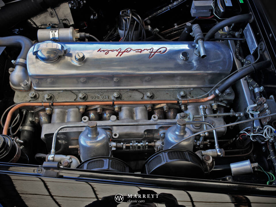 Bild 24/61 von Austin-Healey 3000 Mk I (BT7) (1959)