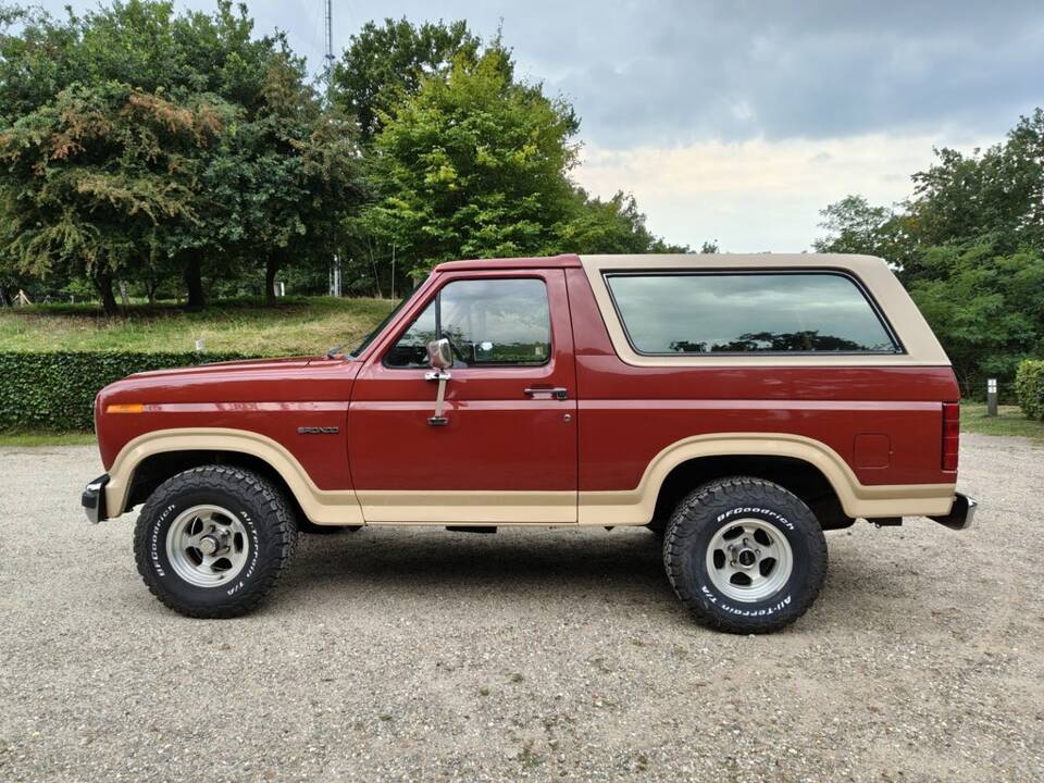 Image 6/8 de Ford Bronco (1985)