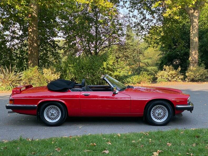 Bild 3/50 von Jaguar XJ-S Convertible (1988)