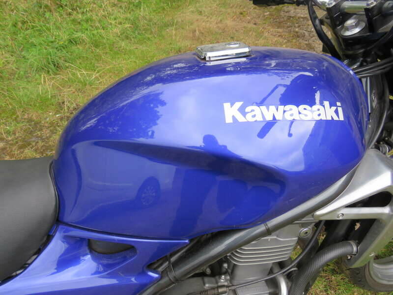 Image 21/38 of Kawasaki DUMMY (1999)