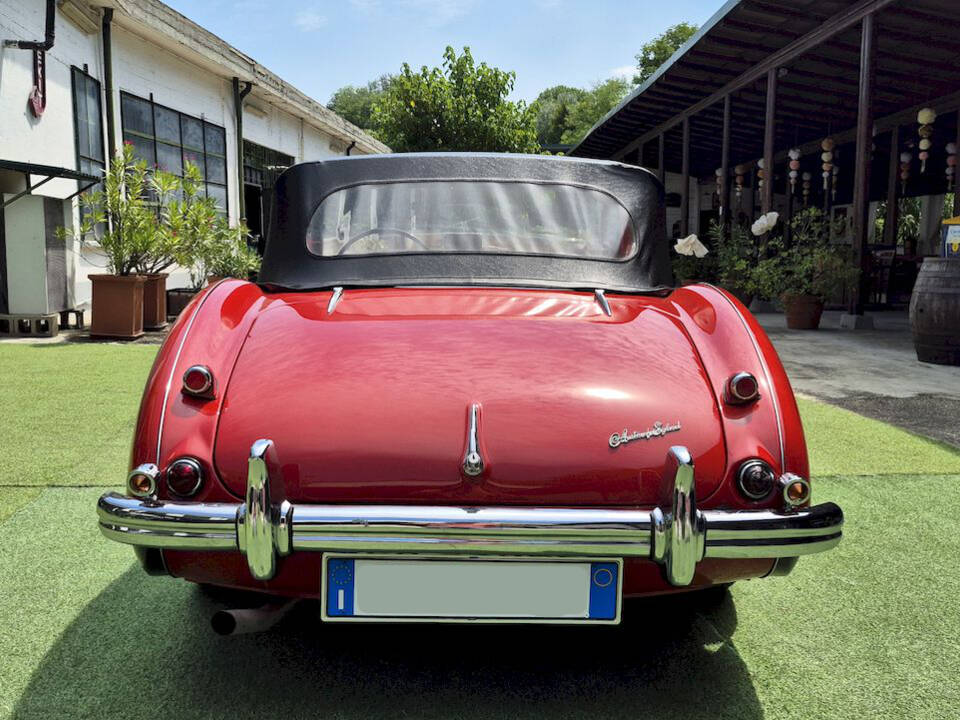 Bild 60/62 von Austin-Healey 100&#x2F;4 (BN1) (1954)