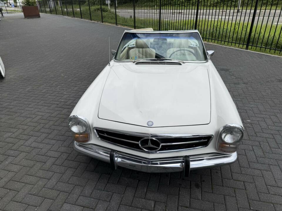 Image 6/50 of Mercedes-Benz 280 SL (1969)