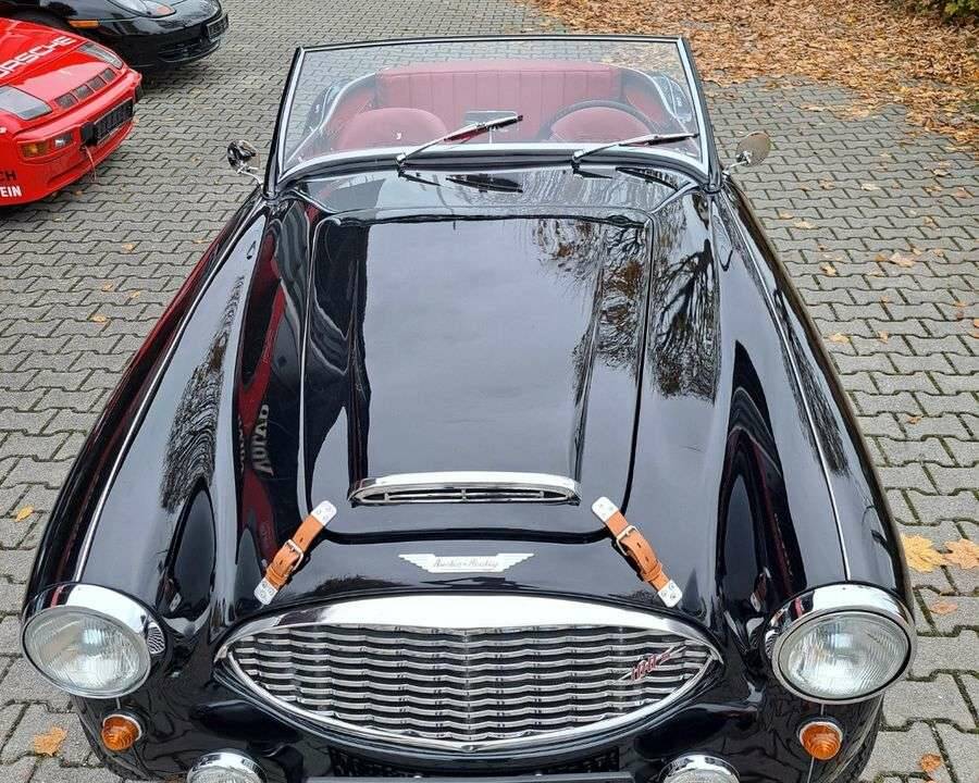 Image 9/25 de Austin-Healey 100/6 (BN4) (1959)