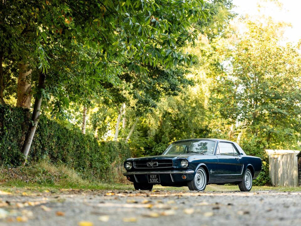 Imagen 47/50 de Ford Mustang III (1965)