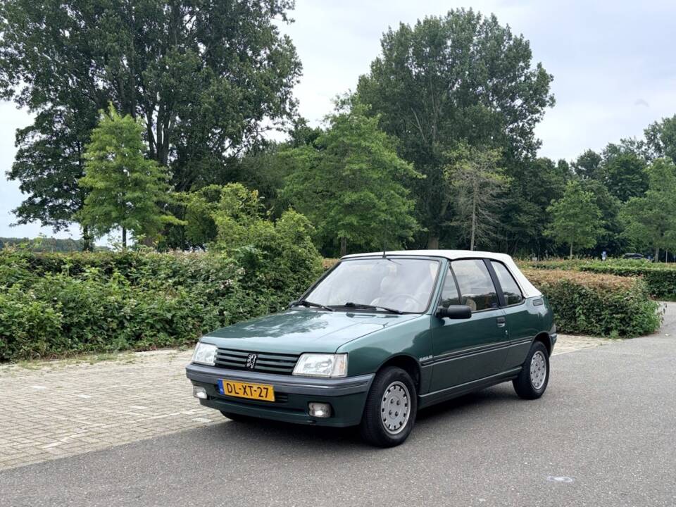 Image 13/20 of Peugeot 205 Roland Garros (1992)