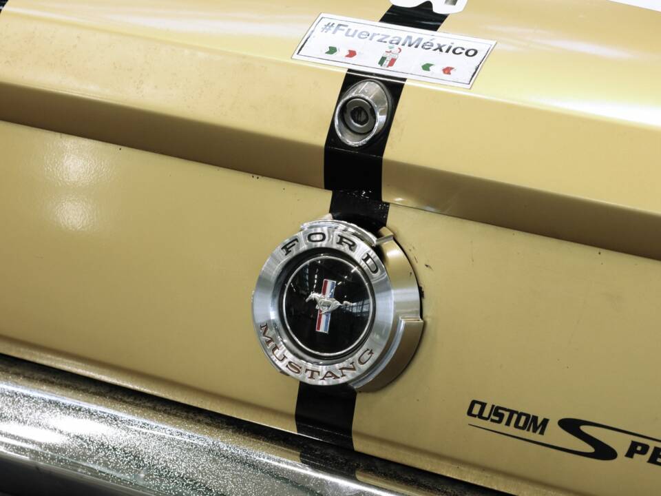 Bild 50/50 von Ford Mustang 289 (1966)