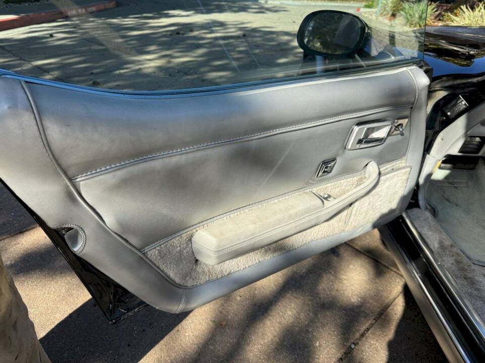 Bild 29/50 von Chevrolet Corvette 25th Anniversary (1978)