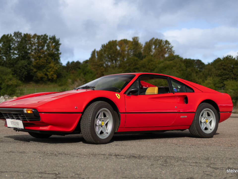 Image 14/65 of Ferrari 308 GTB (1978)