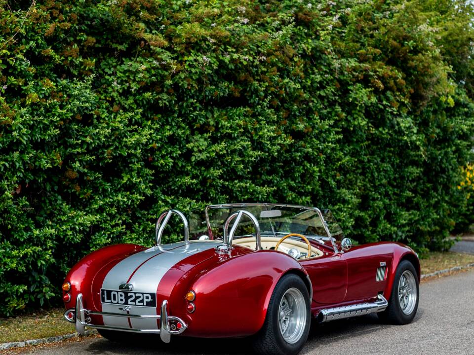 Bild 24/50 von Dax Cobra (1976)