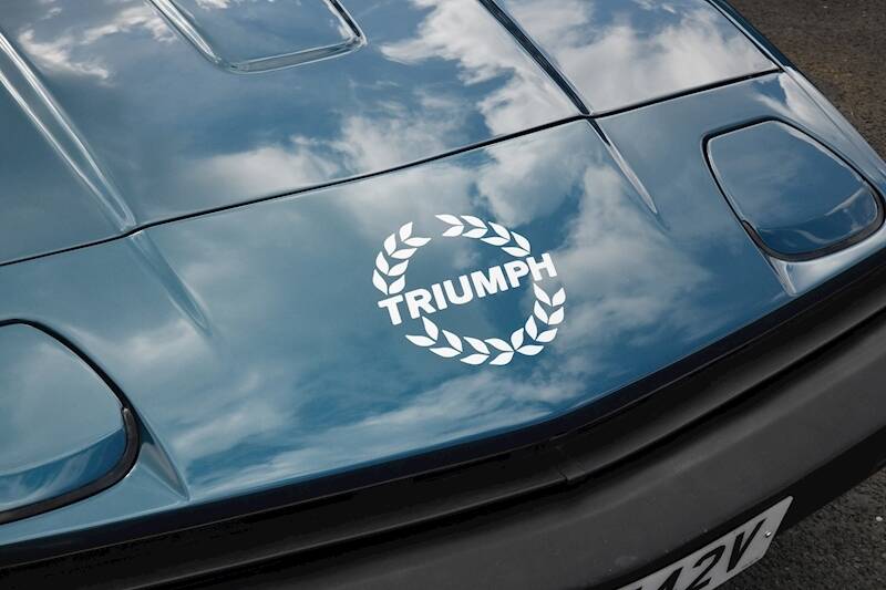 Image 8/22 of Triumph TR 7 USA (1980)