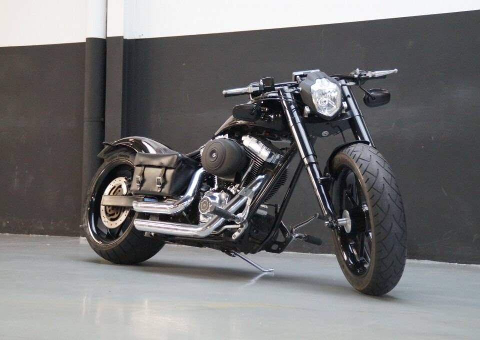 Bild 1/50 von Harley-Davidson DUMMY (2008)