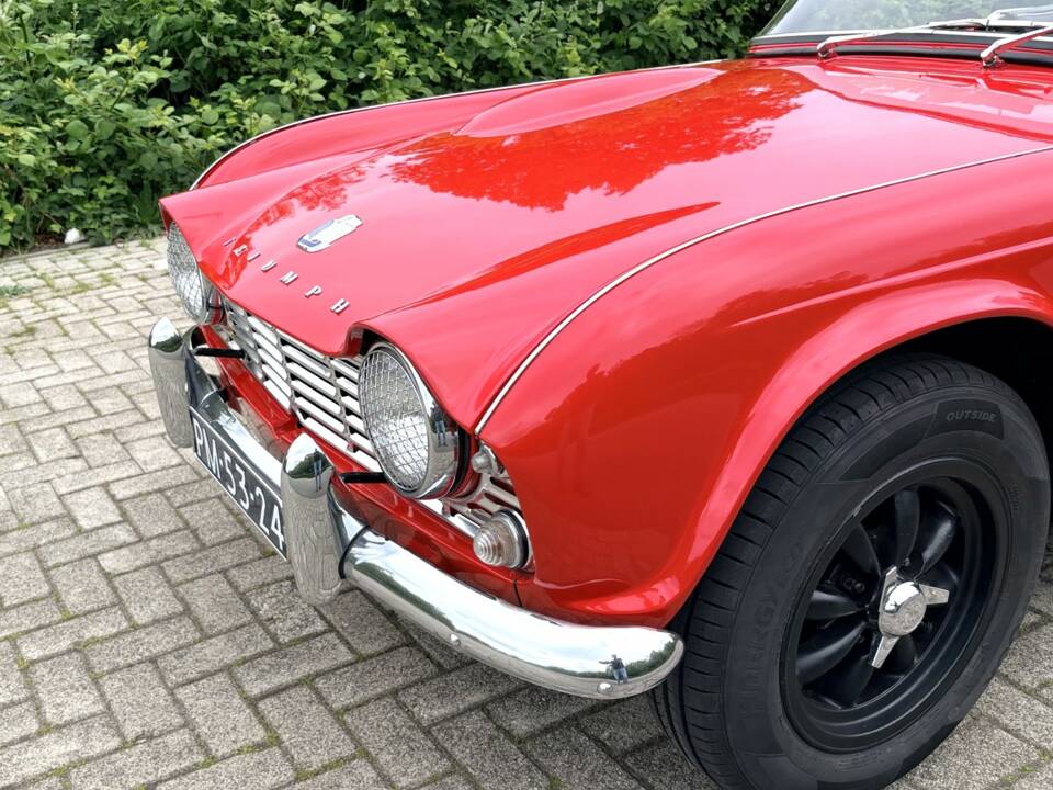 Immagine 49/50 di Triumph TR 4 (1961)