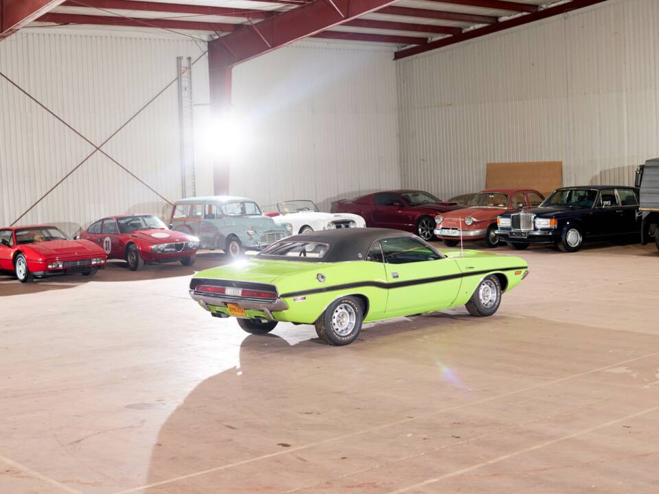 Immagine 4/71 di Dodge Challenger R/T (1970)