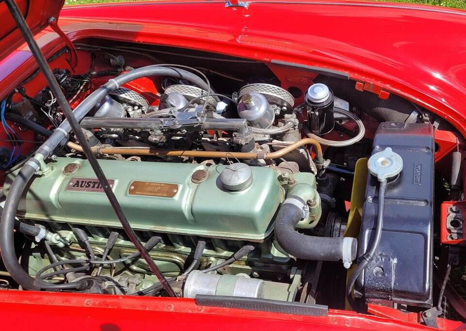 Afbeelding 6/8 van Austin-Healey 3000 Mk II (BT7) (1962)