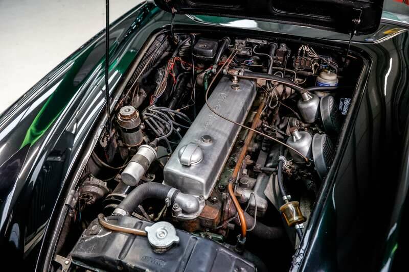 Bild 15/22 von Austin-Healey 3000 Mk II (BN7) (1962)