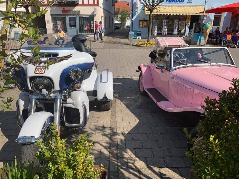 Image 11/12 of Panther Kallista (1983)