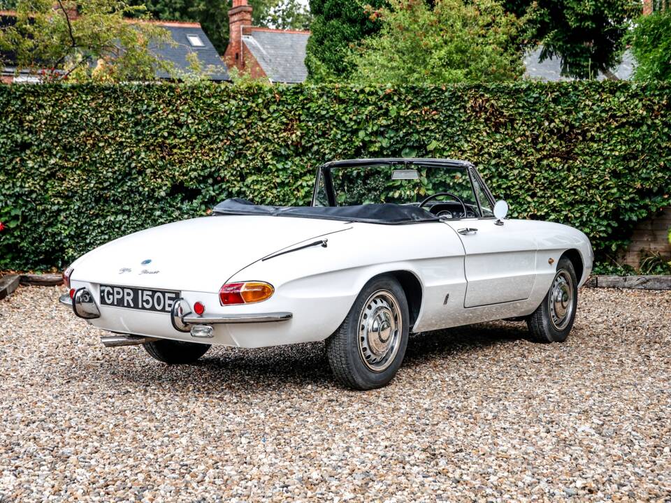 Immagine 4/35 di Alfa Romeo 1600 Spider Duetto (1967)