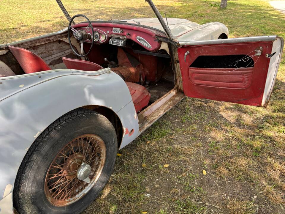 Bild 11/19 von Austin-Healey 3000 Mk I (BN7) (1960)