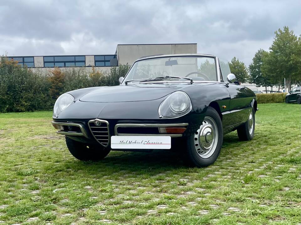 Bild 3/24 von Alfa Romeo 1600 Duetto (1966)