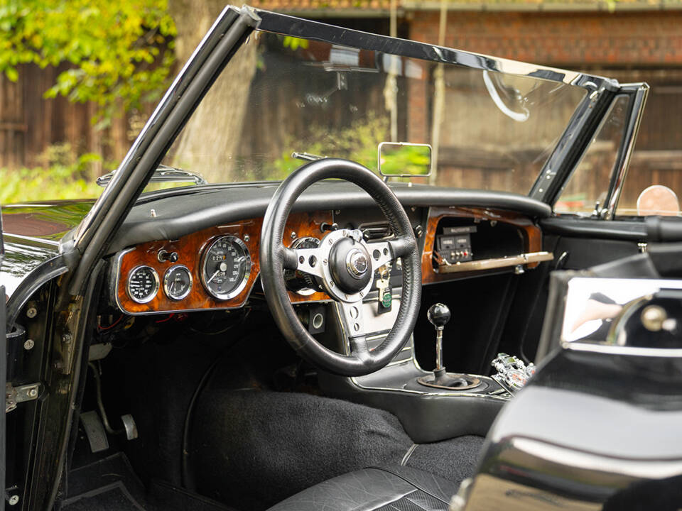 Immagine 40/62 di Austin-Healey 3000 Mk III (BJ8) (1965)