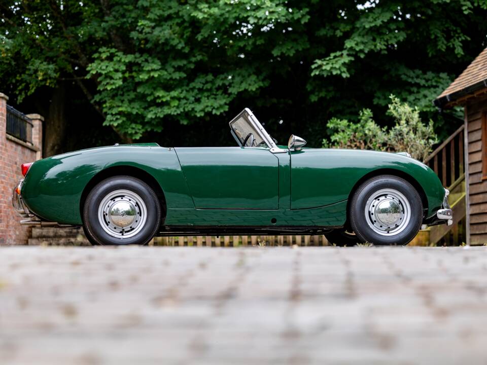 Bild 7/40 von Austin-Healey Sprite Mk I (1958)