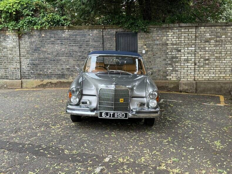 Bild 6/50 von Mercedes-Benz 220 SE b (1966)