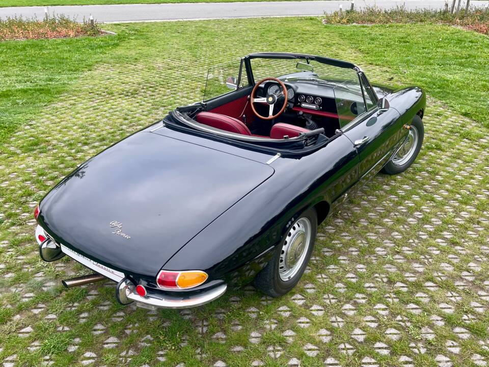 Bild 15/24 von Alfa Romeo 1600 Duetto (1966)