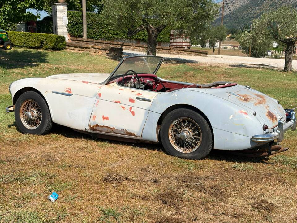 Bild 2/22 von Austin-Healey 3000 Mk II (BN7) (1960)
