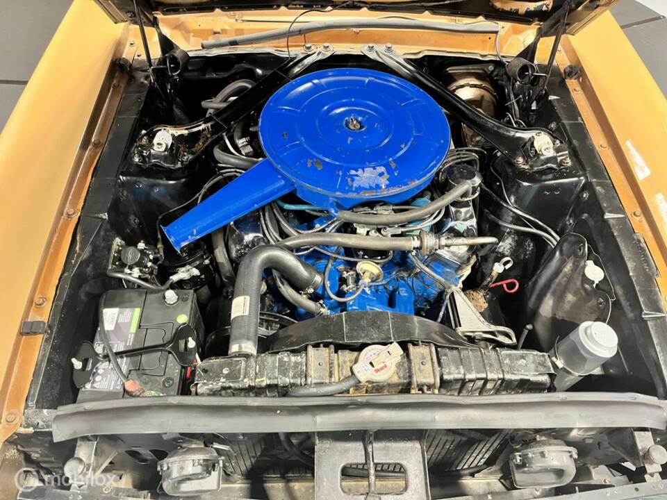 Immagine 40/46 di Ford Mustang 390 (1967)