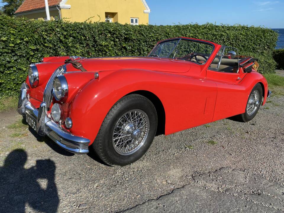Bild 1/8 von Jaguar XK 140 SE DHC (1954)