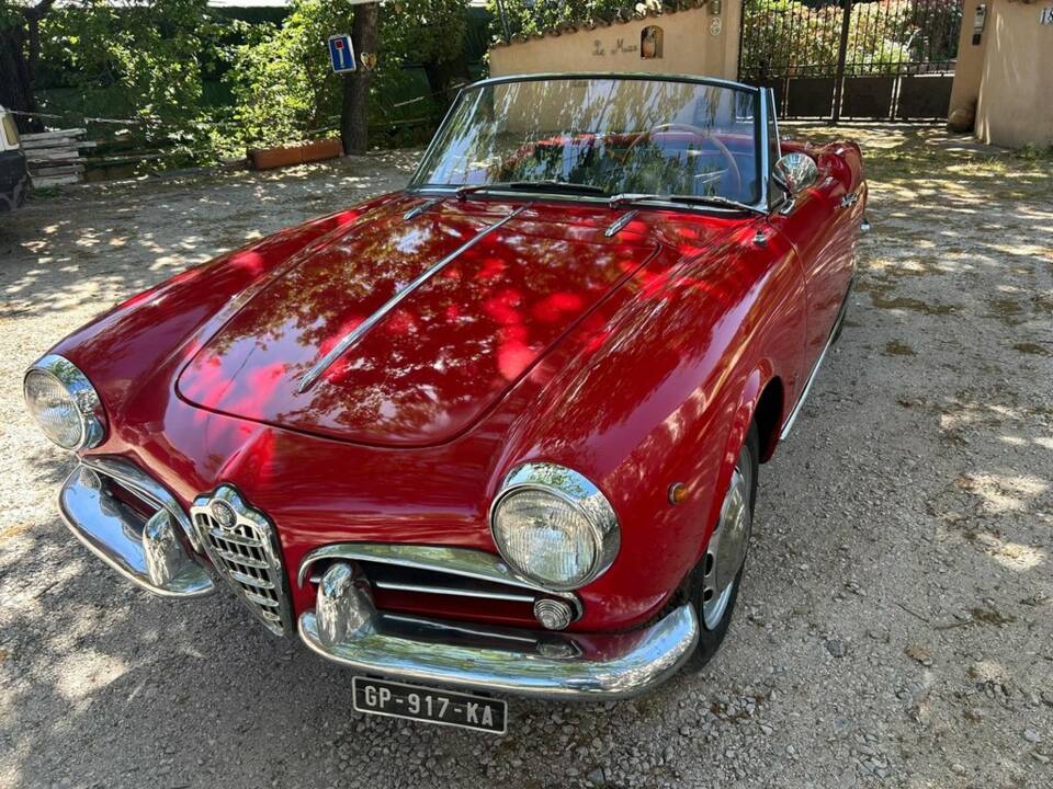 Image 3/8 of Alfa Romeo Giulietta Spider (1959)