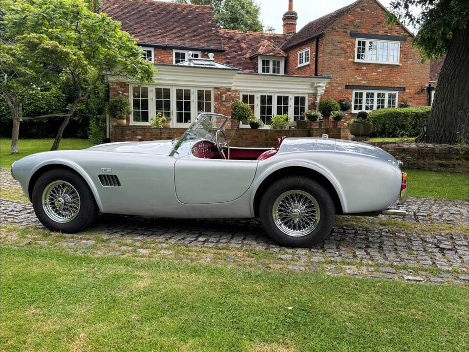 Bild 7/24 von AC Cobra 289 (2001)