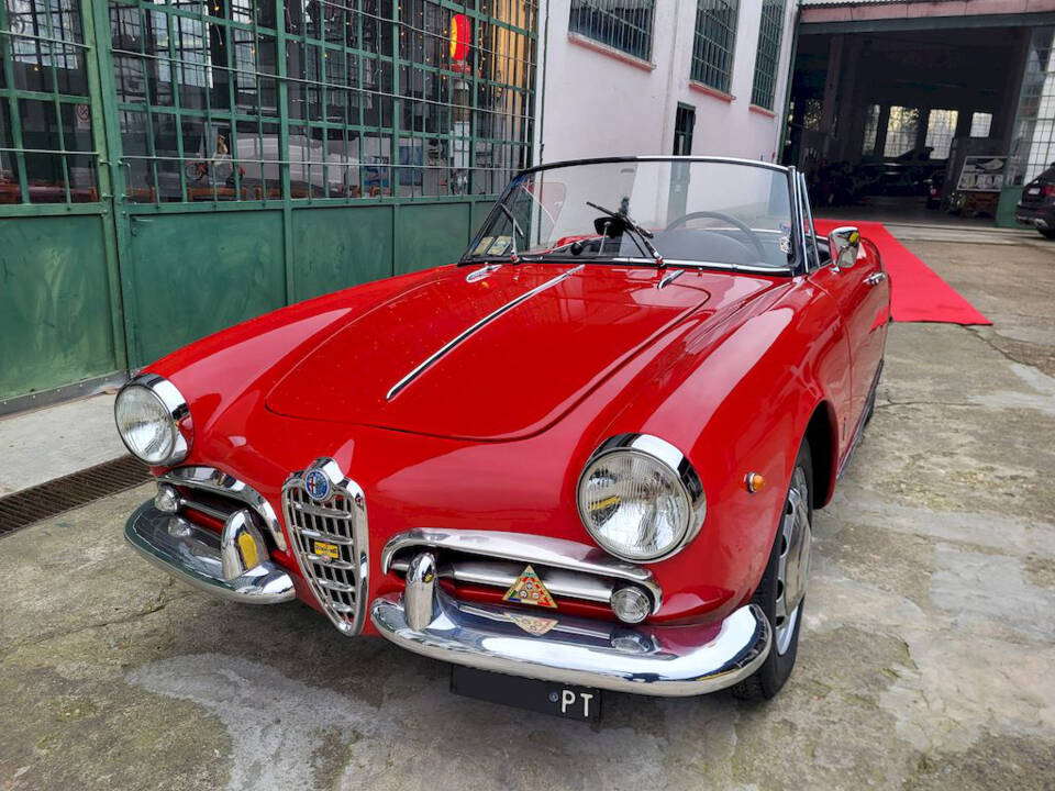 Image 5/65 of Alfa Romeo Giulietta Spider (1962)