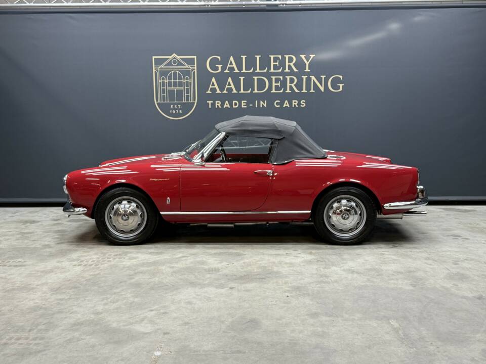 Bild 11/50 von Alfa Romeo Giulietta Spider Veloce (1959)