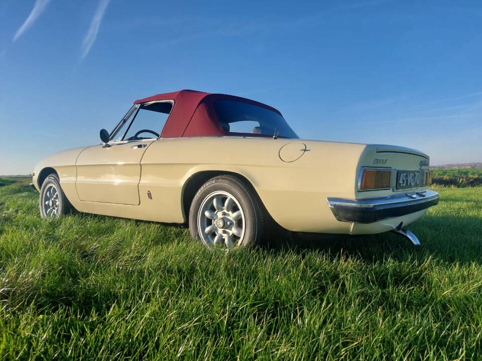 Afbeelding 6/12 van Alfa Romeo 2000 Spider Veloce (1978)