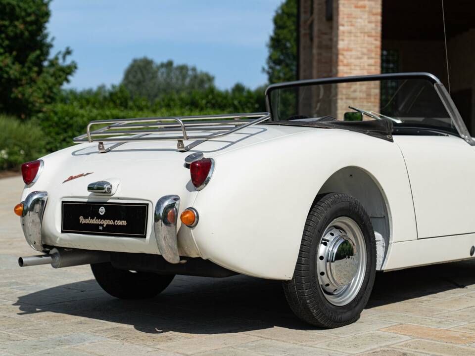 Image 16/50 of Austin-Healey Sprite Mk I (1958)