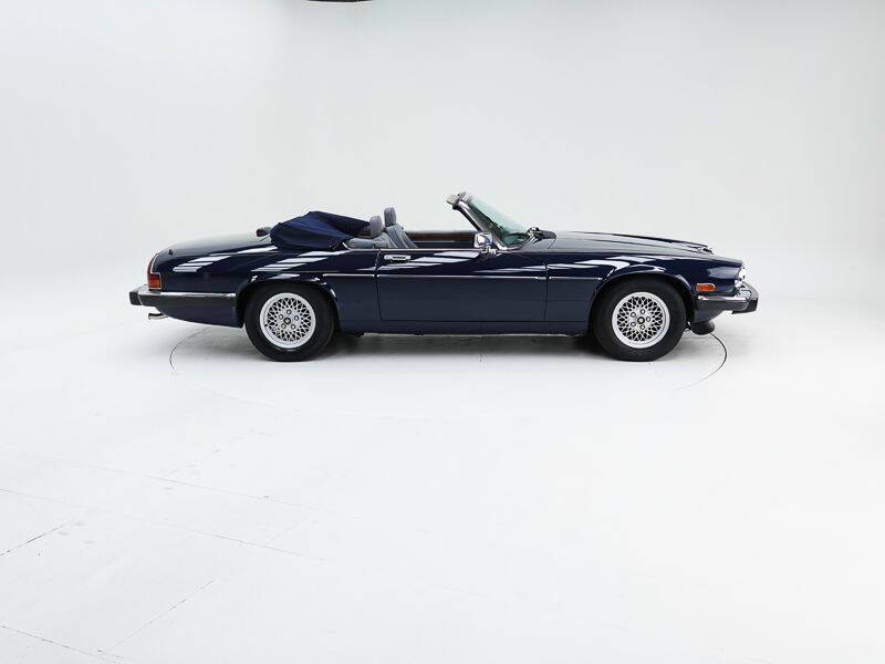 Bild 6/15 von Jaguar XJS V12 Lister (1989)