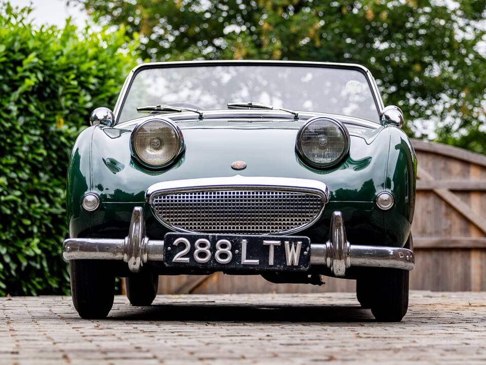 Bild 6/40 von Austin-Healey Sprite Mk I (1958)